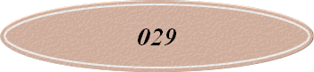 029